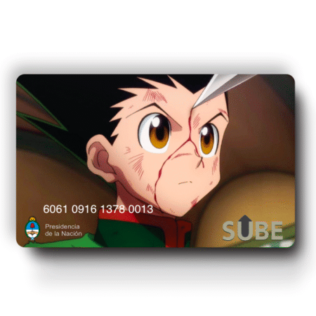 Hunter x Hunter — Cod 207.26 —