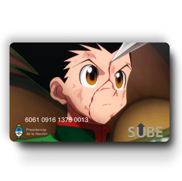 Hunter x Hunter — Cod 207.26 —